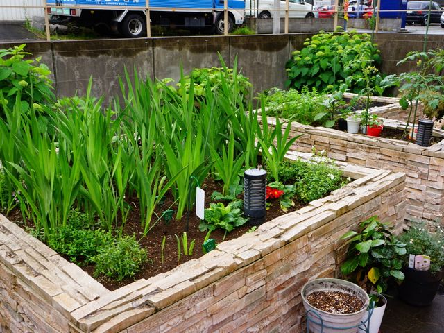 緑豊かな中庭の風景 花壇 手入れの行き届いた中庭は、四季折々の植物が楽しめる落ち着いた空間です。自然の息吹を感じながらのお仕事も、快適ですね。
