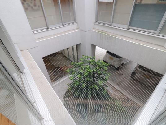 中庭の緑植物
