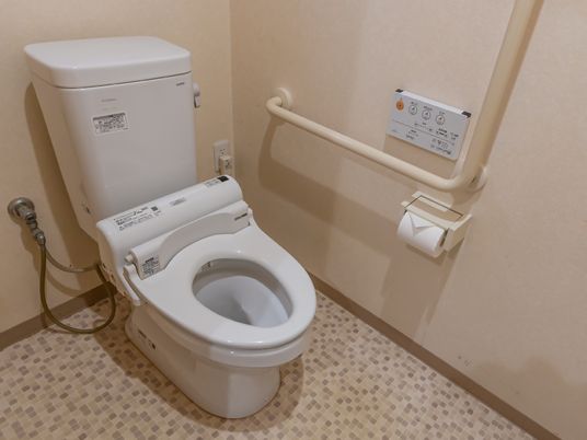 手すり付きトイレの様子