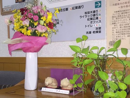 飾り花のある掲示前のロビー  