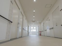 明るい廊下の様子