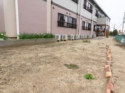 建物外観と庭の風景