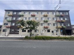 多世代向けの清潔な外観