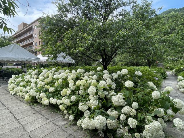 散策できる庭 庭 美しい花々に囲まれた庭は、リフレッシュに最適な環境です。散策を楽しみながらリラックスできます。