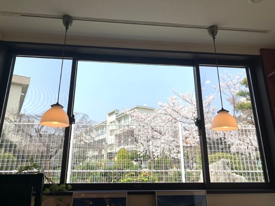 ペンダントライトが設置され、その後ろにある大きな窓の外には桜の花が咲き、住宅や大きな学校のようなものが見える。空は青く日当たり良好。