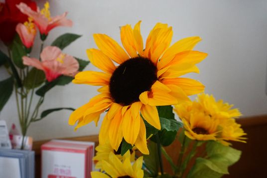 ひまわりの花束