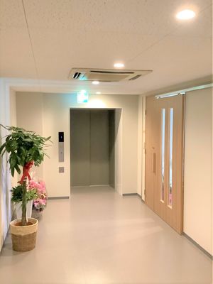 清潔な廊下と植物