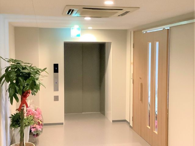 清潔な廊下と植物 エレベーター 広々として清潔感のある廊下は、明るく暖かみのある雰囲気です。植物が彩りを添え、心地よい空間を演出しています。