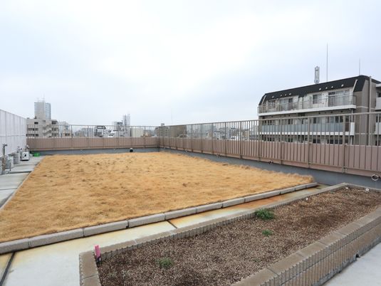 広々とした屋上庭園