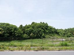 緑に囲まれた空地