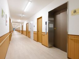 清潔な廊下とエレベーター