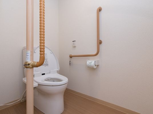 安全なトイレの手すり
