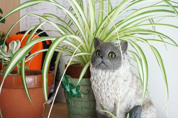 観葉植物と猫の置物