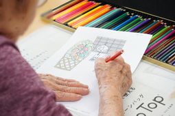 多彩な色鉛筆と塗り絵