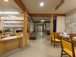 明るい廊下の職場