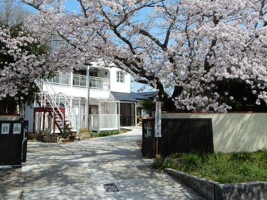 桜に囲まれた外観  
