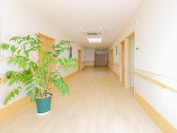 明るい廊下の植物付き