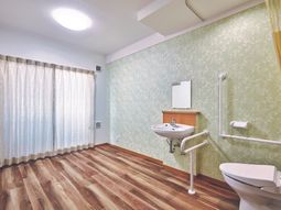 緑の壁の洗面所