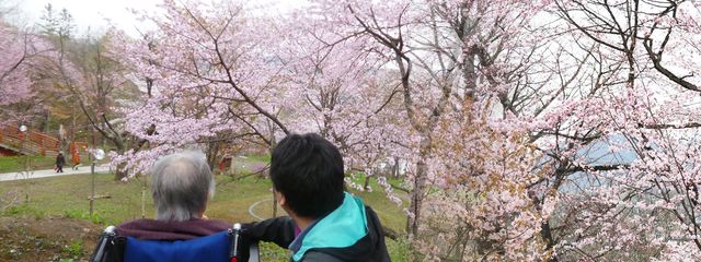 桜のある庭 庭 桜が咲く庭を楽しむことができ、自然を堪能できるリラックス空間です。リフレッシュに最適です。
