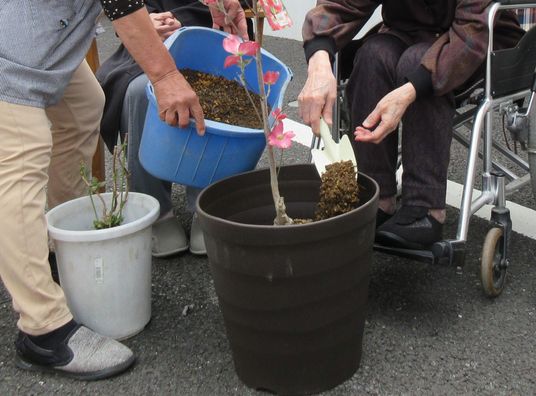 スタッフと利用者の園芸作業
