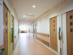 清潔感ある明るい廊下