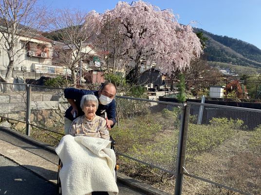桜の下で散歩する様子  