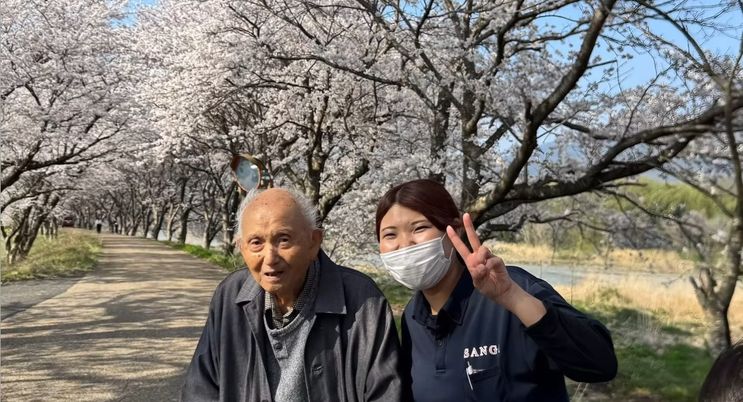 桜並木の散歩道