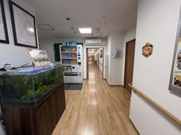 明るい廊下