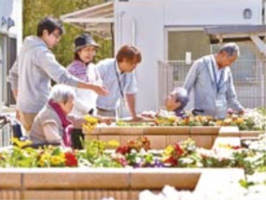 屋外での植物の手入れ