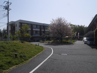 ゆったりした中庭