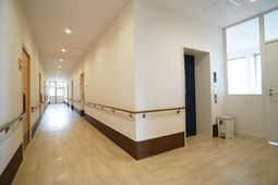 廊下の明るい空間