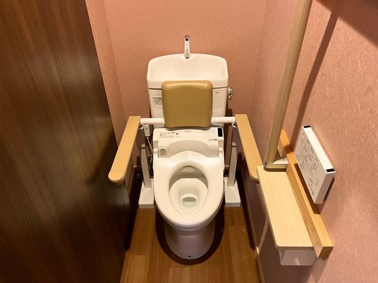 介助用設備が整ったトイレ
