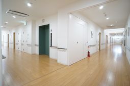 清潔な廊下の様子