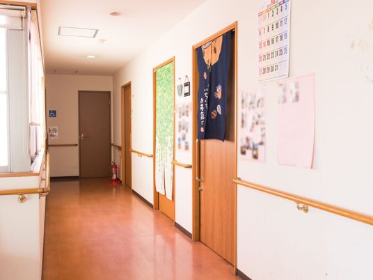 明るい廊下と掲示物