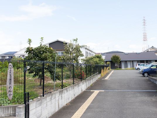 中庭の緑と建物