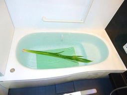 緑の葉付き浴槽