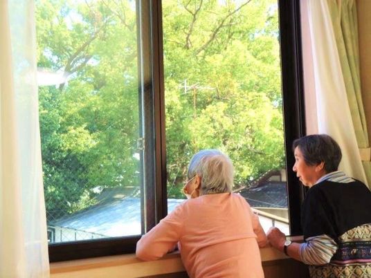 緑を望む居室の光景