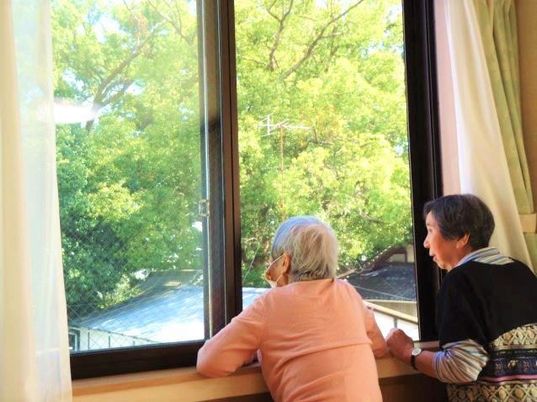 緑を望む居室の光景