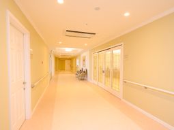 清潔感のある明るい廊下