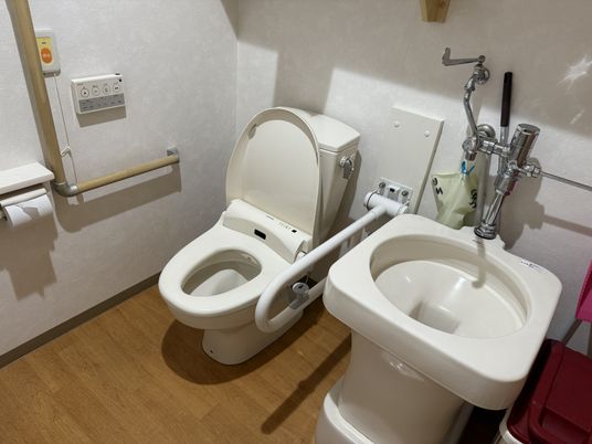 手すり付きのトイレ