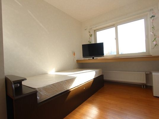 明るい居室でのお仕事