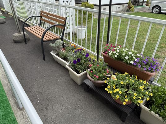 カラフルな鉢植えが並ぶベンチ