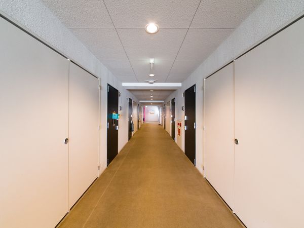 清潔な施設の廊下