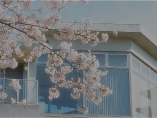 桜と建物の外観  