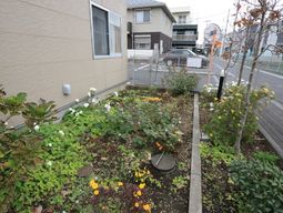 色とりどりの花の中庭