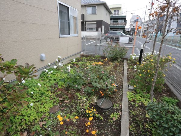 色とりどりの花の中庭