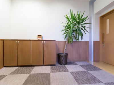 清潔な廊下と観葉植物