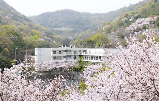 桜に囲まれた外観