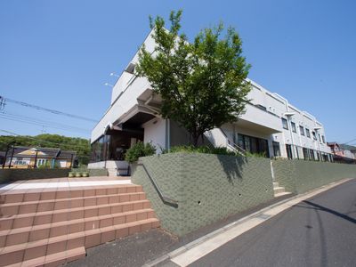 緑豊かな外壁の建物