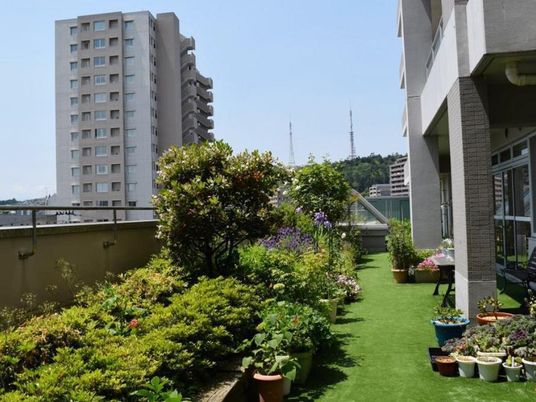 緑豊かなテラス風景